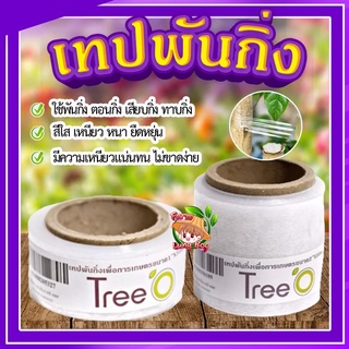 เทปพันกิ่ง 🌵 ฟิล์มพันกิ่ง ใช้พันกิ่ง ตอนกิ่ง ทาบกื่ง สีใส เหนียว หนา ยืดหยุ่น ไม่ขาดง่าย ทนต่อการใช้งาน