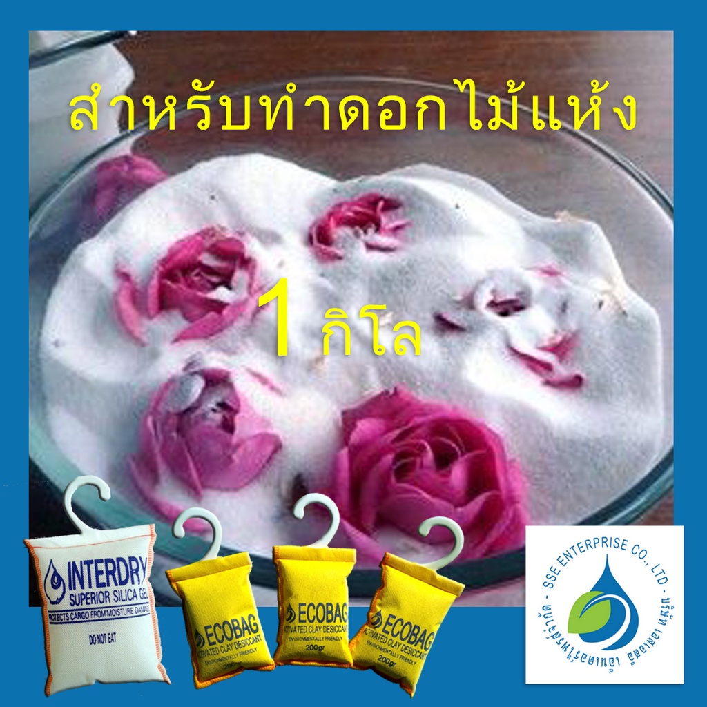 My Image 25