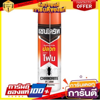 ✨Sale✨ Chaindrite เชนไดร้ท์ โฟม 250 g. 🍟สุดฮิต!!