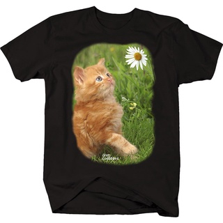 การพิมพ์เสื้อยืด คอกลม แขนสั้น ผ้า cotton100% สบายและต่อต้านริ้วรอย Cute Golden Brown Kitten Playing with Daisy