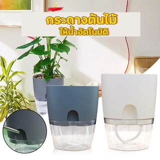 กระถางต้นไม้ กระถางพลาสติก กระถางต้นไม้สีขาว-ใส flower-pot-White nananatural