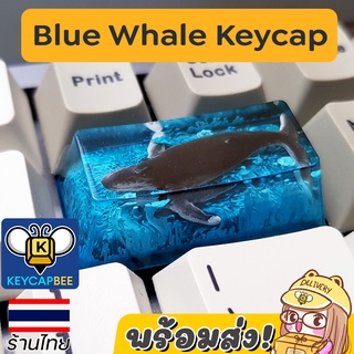 Blue Whale Keycap 🐋 ปุ่มคีย์แคปปลาวาฬ / Custom Keycap / Resin Handmade / 🇹🇭 ร้านไทย พร้อมส่ง