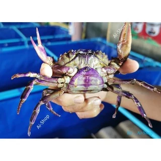 แร่ธาตุปูนา (ผงสีขาว) แร่ธาตุรวมปู แร่ธาตุสำหรับปู ทุกชนิด แร่ธาตุแคลเซียมสูง เสริมสร้างกระดอง