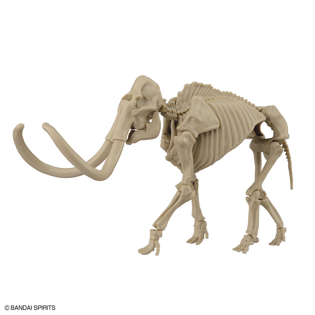 Exploring Lab Nature Mammoth ราคา ถูกที่สุด ดีลบีเคเค แกลเลอรีภาพที่ 6