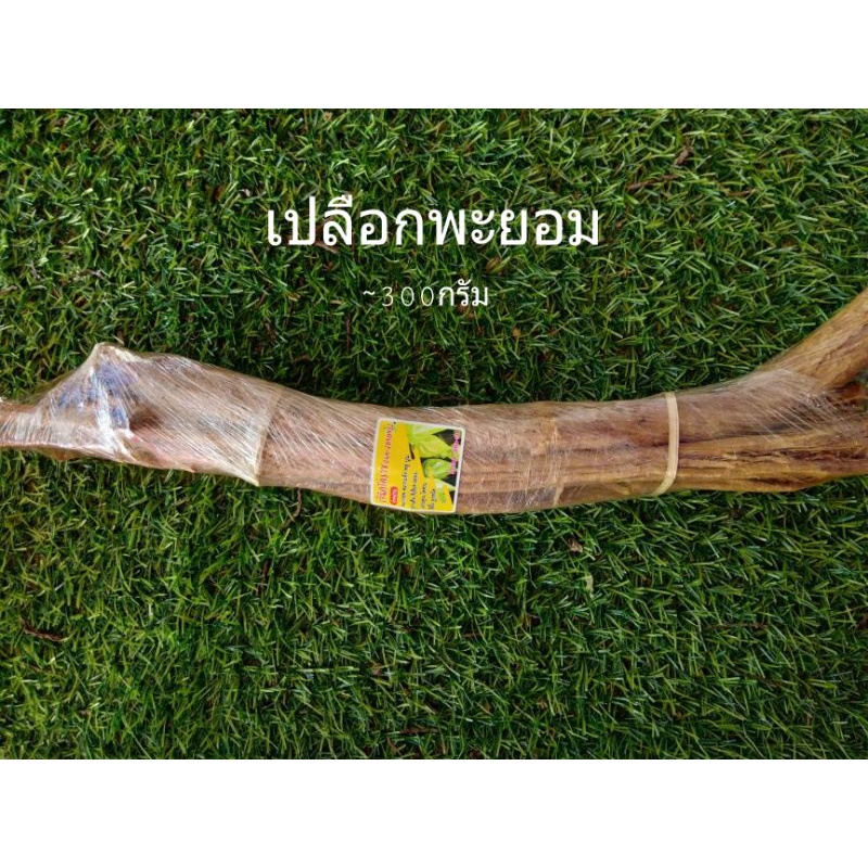 #พะยอม#เปลือกพะยอม(อย่างดี)1มัดไม่เกิน300กรัม