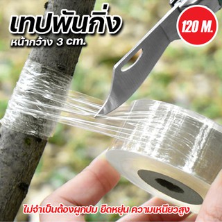 เทปพันกิ่งไม้ ยาว 120 m. เทปพันกิ่งทาบ แลปพลาสติก อุปกรณ์ตอนกิ่ง เทปพันกิ่งเสียบยอด เทปติดตาต้นไม้