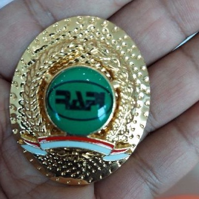 NEAT PIN BADGE******