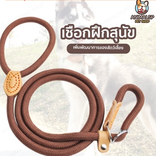 เชือกจุงสัตว์เลี้ยง เชือกฝึกสัตว์ AP34