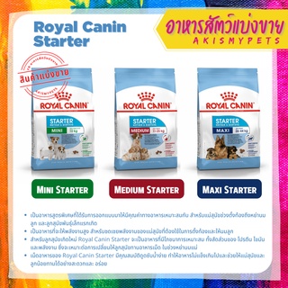 Royal Canin Starter แม่สุนัขตั้งท้อง และลูกสุนัขหย่านม แบ่งขายราคาถูก!!!