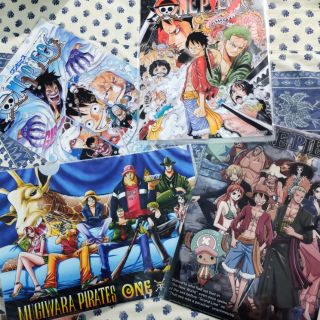 แฟ้ม โปสเตอร์ วันพีช อนิเมะ มังงะ ญี่ปุ่น JAPAN ONEPIECE A4 Poster  Anime Manga One piece แฟ้มเอกสาร ลิขสิทธิ์แท้ แมวทอง