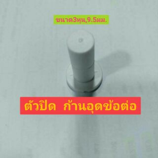 ตัวปิดข้อต่อ ขนาด3หุน  ก้านปิด  ก้านพลาสติกอุดข้อต่อ  ตัวจบข้อต่อ ระบบน้ำ ระบบพ่นหมอก กรองน้ำ ก้านอุดข้อต่อ