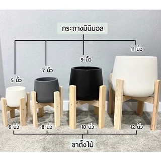 (งานนำเข้าพลาสติกหนา)ชุดเซ็ตกระถางต้นไม้+พร้อมขาตั้งตรง 6นิ้ว 8นิ้ว 10นิ้ว 14นิ้ว กระถางมีจานรองในตัวขาตั้งไม้สนอย่างดี