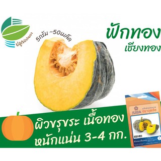 ฟักทองเชียงทอง (Pumkin)​