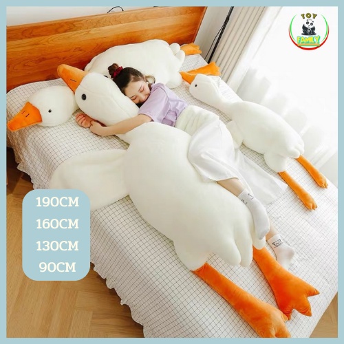 รูปภาพ 2