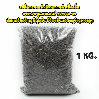 เมล็ดทานตะวันล้วน 1 kg. เม็ดเล็ก สำหรับสัตว์ อาหารหนูแฮมเตอร์ กระรอก นก บำรุงสายตา ช่วยขับถ่าย ช่วยเสริมสร้างภูมิคุ้มกัน