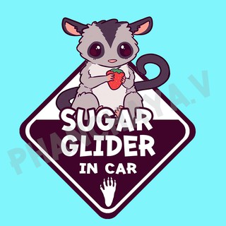 DIC62 สั่งทำ สติ๊กเกอร์ ติดรถ " Sugar Glider IN CAR " ชูการ์ไกลเดอร์  จิงโจ้บิน ชูก้า ไกลเดอร์ สติ๊กเกอร์ติดรถ แต่งรถ