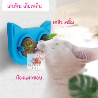 แคทนิปบอล​ แมวเลีย สมุนไพรแมว​ Catmint​ catball