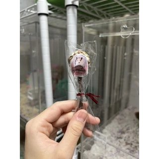 [Hamsterth] อมยิ้ม ลับฟันทำจากหญ้าแห้งอัดก้อน ไม้แอปเปิ้ล ช่วยคลายเครียด ขนมแฮมสเตอร์ ธัญพืช
