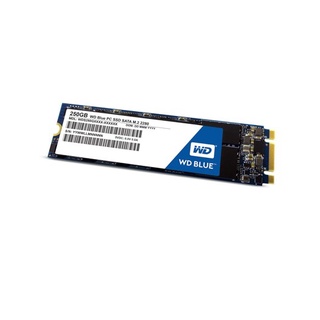 WDSSD250GB-M.2 3DNAND 5YEAR SA510 Model : WDSSD250GB-M.2-3D-5YEAR-SA510