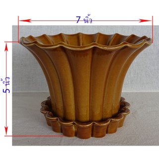 กระถางเซรามิค,พลูด่าง,บอนสี,กระถางใบด่าง,กระถางไม้ใบ,กระถางทรงสูง,กระถาง,ไม้มงคล,กระถางบอนสี,ใบด่าง,ต้นไม้,เซรามิก