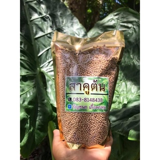 สาคูต้นพัทลุง[500กรัม] Organicปลอดสารพิษ100%