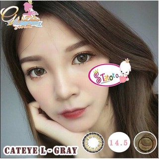 cateye l-gray by TATOTO Contact Lenses บิ๊กอาย #244