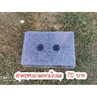 ชุดถาดและฝาครอบสำหรับเพาะเมล็ดหรืออบเร่งราก ขนาด 50*35*8 เซน
