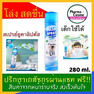 ล็อตใหม่ตลอด🔥Polar Spray PolarSprayโพลาร์ สเปรย์ โพลาร์สเปรย์ยูคาลิปตัส ฆ่าเชื้อโรค Eucalyptus oil Plus 1 กระป๋อง 280ml.