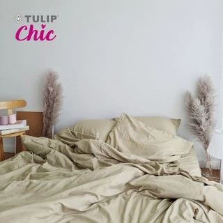 TULIP CHIC สีพื้น CHIC07 ชุดเครื่องนอน ผ้าปูที่นอน ผ้าห่มนวม สัมผัสนุ่มสบาย สไตล์มินิมอล