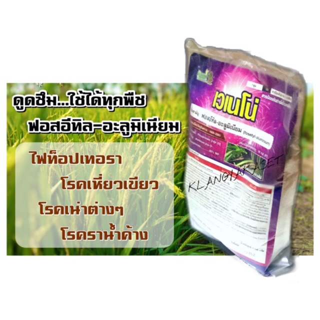 My Image 22