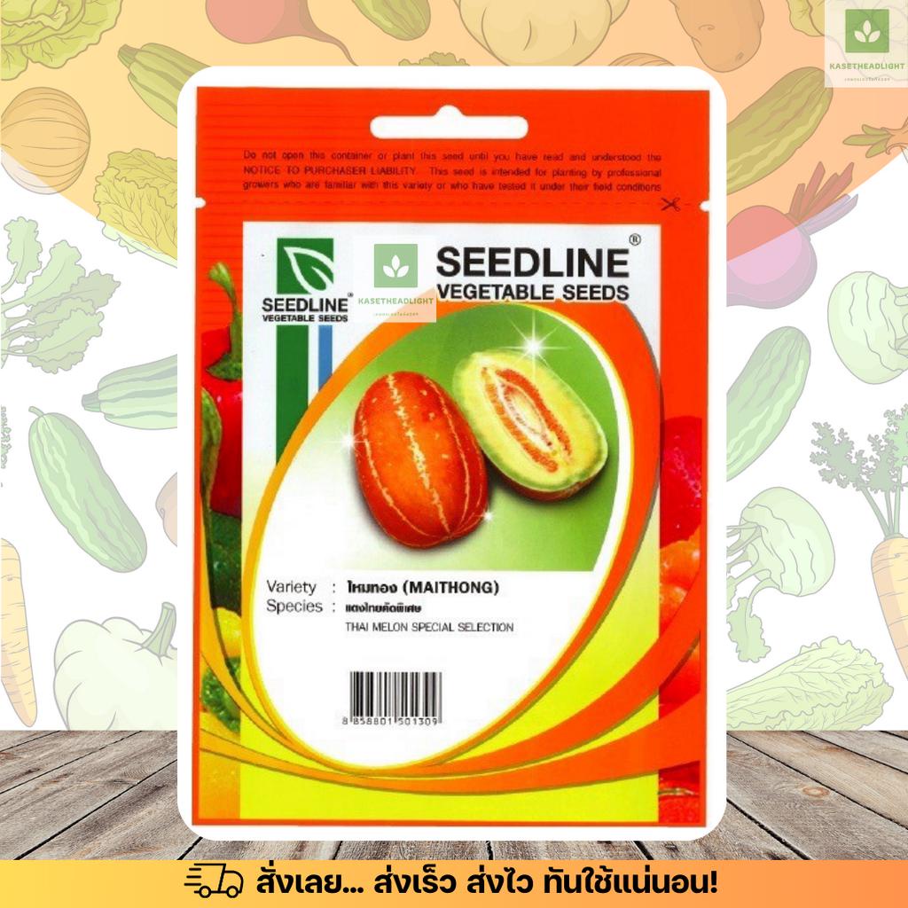 SL แตงไทย ไหมทอง คัดพิเศษ เมล็ดพันธุ์แตงไทย Thai Melon ซีดไลน์