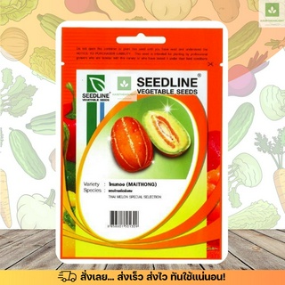 SLแตงไทย ไหมทอง คัดพิเศษ เมล็ดพันธุ์แตงไทย Thai Melon ซีดไลน์