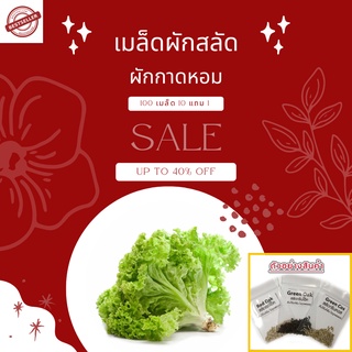 🌱เมล็ดผักสลัดอินทรีย์ ผักกาดหอม 100 เมล็ด 10แถม1🌱อัตราการงอกสูง มีคู่มือการปลูกทุกซอง เมล็ดพันธุ์ เมล็ดพันธุ์ผัก