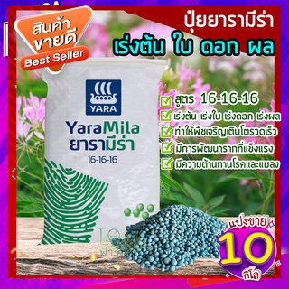 ปุ๋ยยารามีร่า 10 กก.🥑 สูตร 16-16-16 ปุ๋ยเคมี เร่งการเจริญเติบโตของต้น ใบ ดอก และผล สม่ำเสมอ ปุ๋ยใส่ต้นไม้ ปุ๋ยใส่ผัก