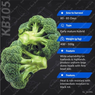 เมล็ด/Soon Huat Benih Brokoli KB105 Broccoli Seeds เมล็ดบรอกโคลีเขตร้อน裙子/头饰/儿童/花园/上衣/种子/母婴/园艺/内裤/香菜//เมล็ด 1TNS