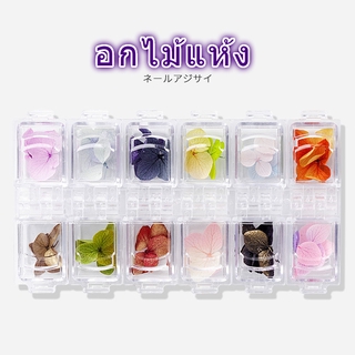 อะไหล่ชุดดอกไม้แห้งติดเล็บ12สี อะไหล่แต่งเล็บคละแบบ อะไหล่ติดเล็บ ตกแต่งเล็บDIY สามารถนำมามิ๊กตกแต่งได้เองตามชอบ