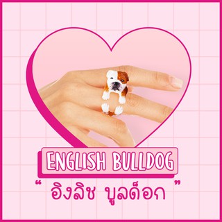 Ring / แหวน : English Bulldog / อิงลิช บูลล์ด็อก