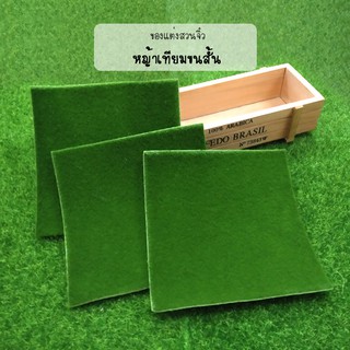 มอสแผ่น สนามหญ้าเทียม แบบขนสั้น พื้น PVC