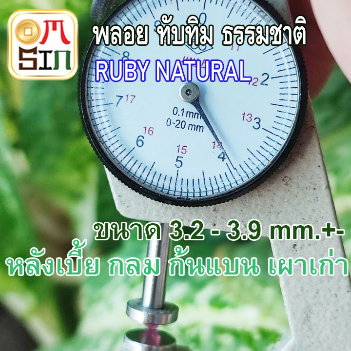 ❤️A245 เฉลี่ย 3.2 - 3.9 มิล 1 เม็ด ทับทิม เผาเก่า หลังเบี้ย กลม สี ชมพู อมม่วง Ruby  Natural ก้นเพชร ธรรมชาติแท้ 100%