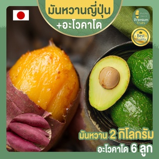 มันหวานญี่ปุ่น เบนิฮารุกะ  2 กก.  + อะโวคาโด จำนวน 6 ลูก AVOCADO HASS AUSTRALIA มันญี่ปุ่น  อะโวคาโด้ อะโวคาโดสด