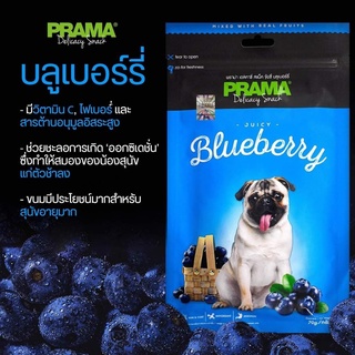 PRAMA พราม่า สแน็ค Blueberry ขนมสุนัขผสมเนื้อผลไม้จริง รสบลูเบอรี่ บำรุงขน+ต้านอนุมูลอิสระ+ระบบย่อย ขนาด 70 g.