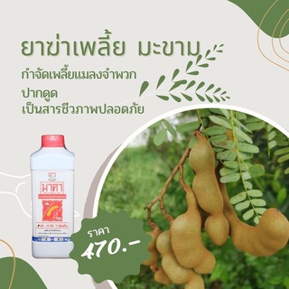 ยาฆ่าเพลี้ย มะขาม ปลอดสารพิษ มาคาและ FK-T(ใช้ได้ทุกพืช)โดย FK