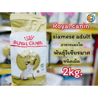 Royal canin adult Siamese 2kg. โรยัล คานิน สำหรับแมวโต พันธุ์วิเชียรมาศ อายุ 12 เดือนขึ้นไป