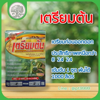 ปุ๋ยเคมี ปุ๋ยน้ำ ชุด เตรียมต้น-สะสมอาหาร หยุดใบอ่อน ใบใหญ่เขียวเข้ม บรรจุ 2ขวด