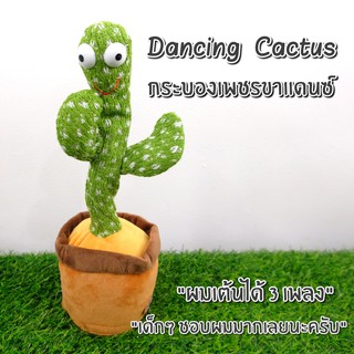 กระบองเพชรขาแดนซ์ DANCING CACTUS(cactus)