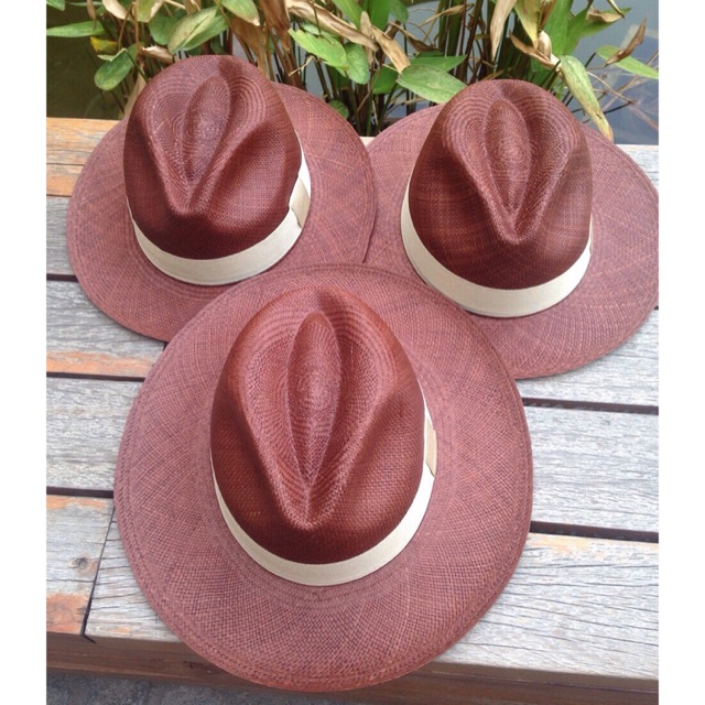 Panama hat fedora classic brown color.