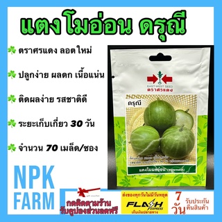 ผักซอง ศรแดง แตงโมอ่อน ดรุณี จำนวน 70 เมล็ด/ซอง เมล็ดพันธุ์ ลอตใหม่ ปลูกง่าย ติดผลง่าย ผลดก เนื้อผลเเน่น รสชาติดี