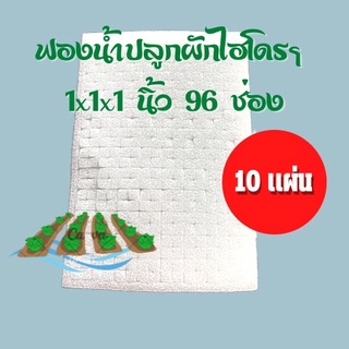 ฟองน้ำเพาะเมล็ด 96 ช่อง ขนาด 1x1x1 นิ้ว เนื้อแน่นละเอียด เกรด A จำนวน 10 แผ่น