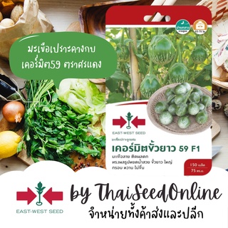 GGEW เมล็ดพันธุ์ซฟ มะเขือเปราะคางกบลูกผสม เคอร์มิตขั้วยาว 59 ตราศรแดง Round Eggplant