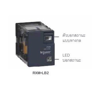 SCHNEIDER รีเลย์ 8 ขา และ 14 ขา รุ่น RXM2LB2 และ RXM4LB2